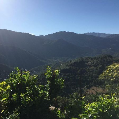Gite , Maison De Vacances Avec Exterieur Et Terrasse Fleurie Meuble Tourisme 3 Etoiles Santa-Lucia-di-Tallano Ngoại thất bức ảnh