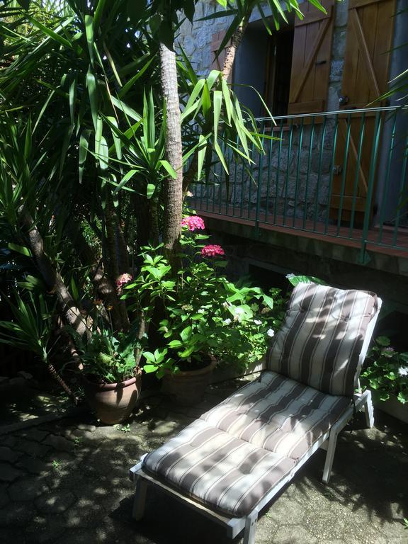 Gite , Maison De Vacances Avec Exterieur Et Terrasse Fleurie Meuble Tourisme 3 Etoiles Santa-Lucia-di-Tallano Ngoại thất bức ảnh