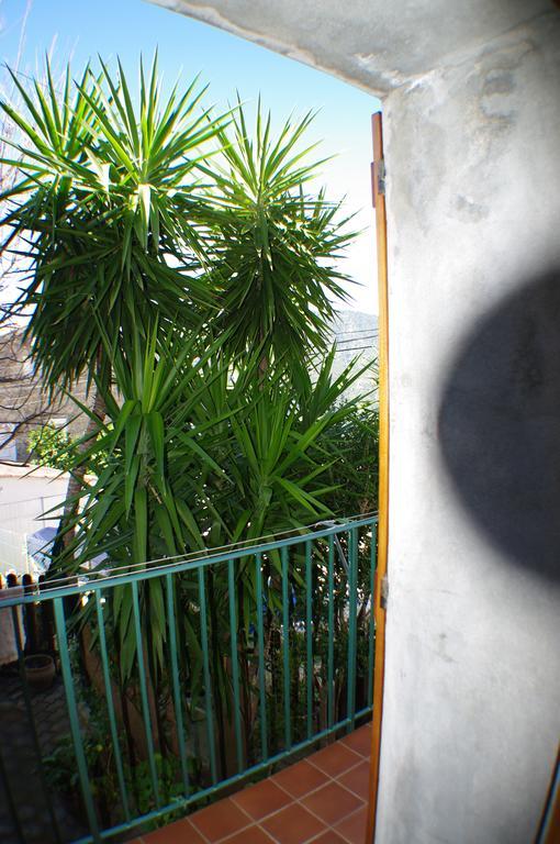 Gite , Maison De Vacances Avec Exterieur Et Terrasse Fleurie Meuble Tourisme 3 Etoiles Santa-Lucia-di-Tallano Ngoại thất bức ảnh