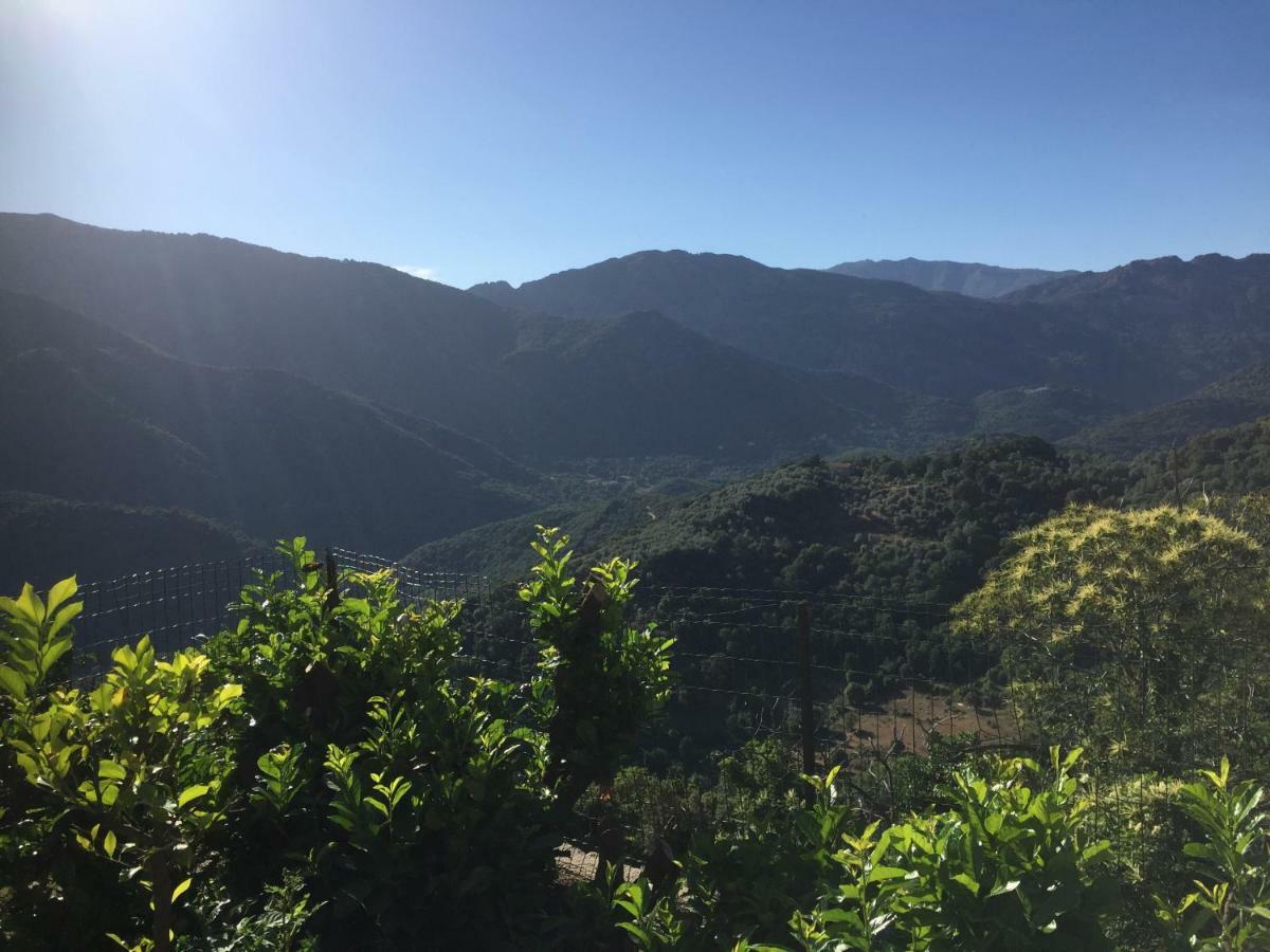 Gite , Maison De Vacances Avec Exterieur Et Terrasse Fleurie Meuble Tourisme 3 Etoiles Santa-Lucia-di-Tallano Ngoại thất bức ảnh